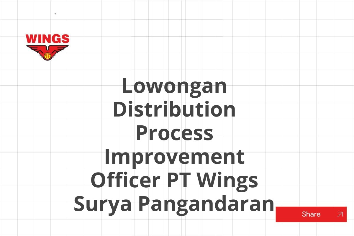 Lowongan Distribution Process Improvement Officer PT Wings Surya Pangandaran